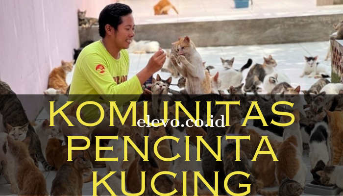 Komunitas_Pecinta_Kucing.png