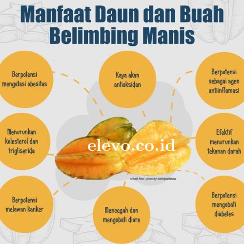 Mengeksplorasi Manfaat Buah Belimbing Untuk Kesehatan Dan Kecantikan