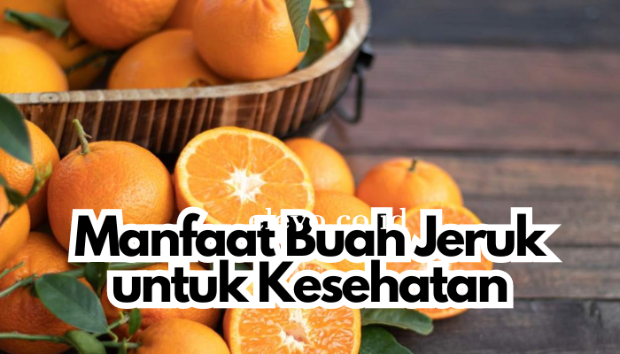 Manfaat_Buah_Jeruk_untuk_Kesehatan.png