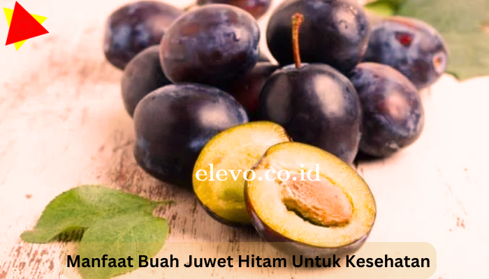 Manfaat_Buah_Juwet_Hitam_Untuk_Kesehatan.png