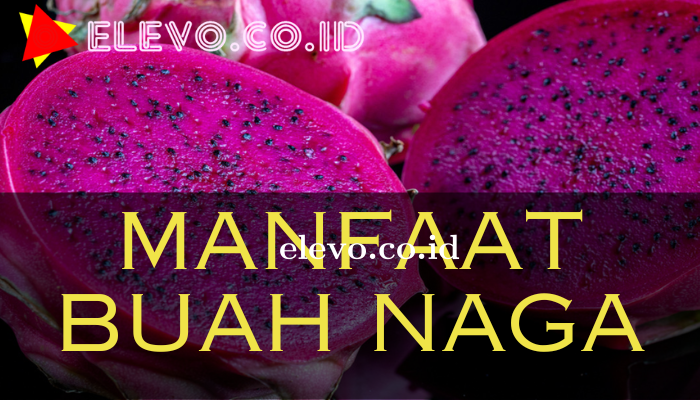 Manfaat_Buah_Naga.png