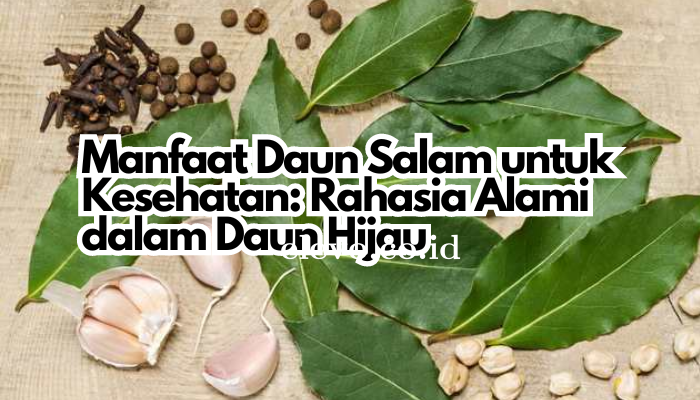 Manfaat Daun Salam untuk Kesehatan: Rahasia Alami dalam Daun Hijau