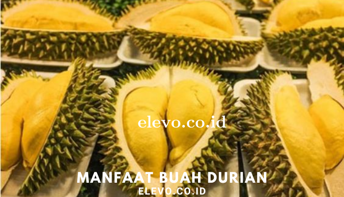 manfaat_buah_durian.png