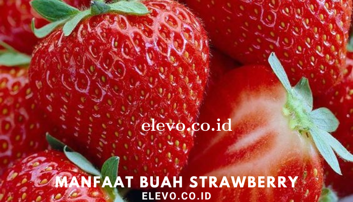 Manfaat Buah Strawberry Bagi Kesehatan Kita