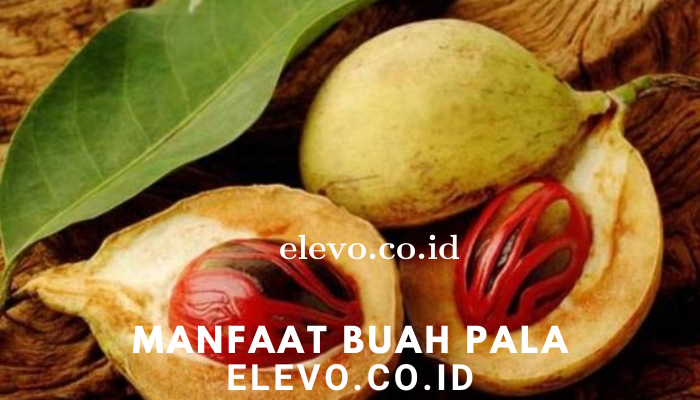 Kegunaan Buah Pala Bagi Kesehatan