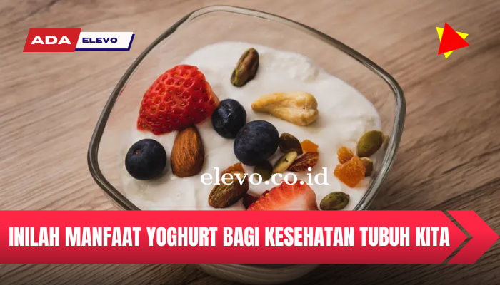 Inilah Manfaat Yogurt Bagi Kesehatan Tubuh Kita Yang Wajib di Ketahui