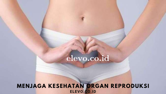 menjaga_kesehatan_organ_reproduksi.png